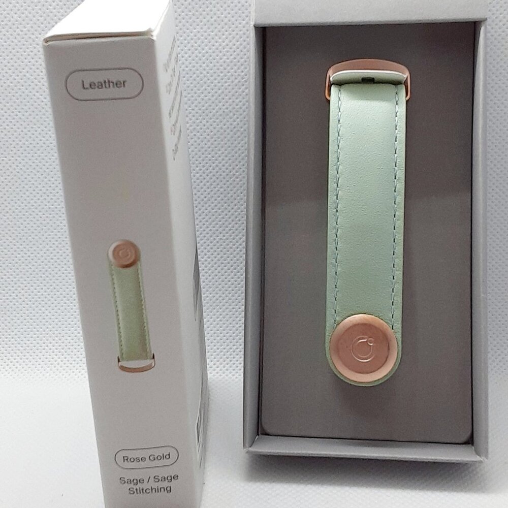2026 Fall Color ...  2 HOSTS PICKED Mint green leather key holder - Picture 4 of 13